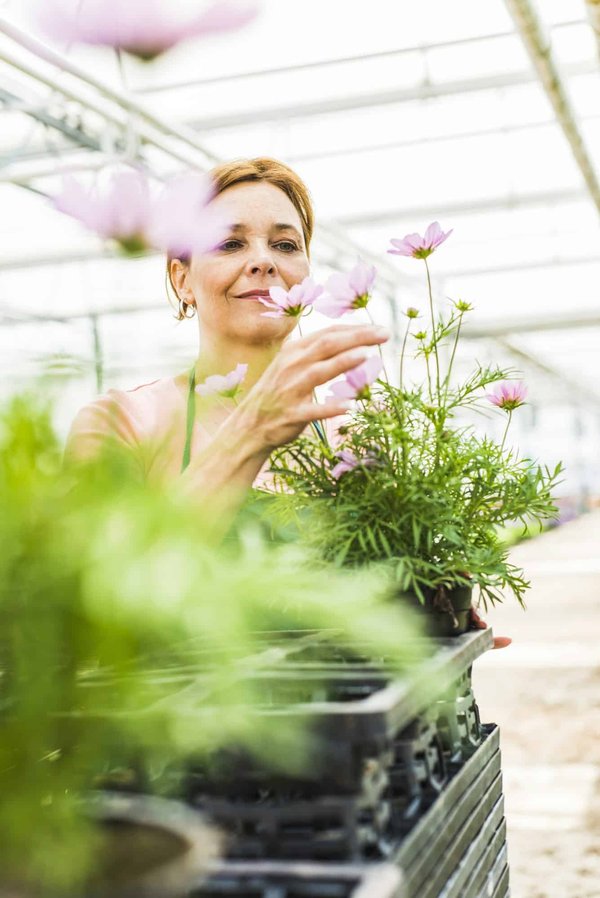 What's the Best Way to Design a Nursery that is Safe and Stimulating for a Newborn?