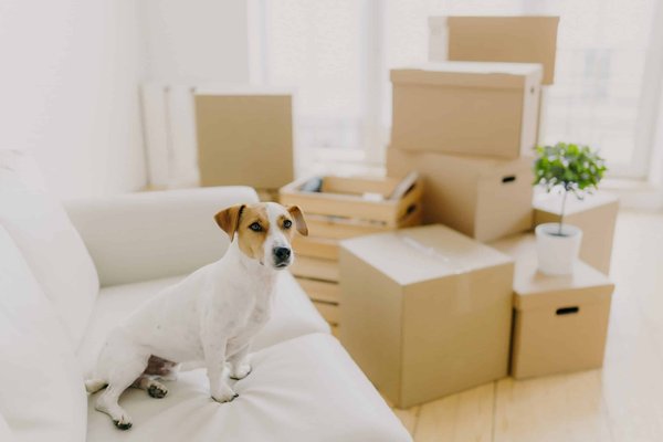 What Are the Coziest Materials for a Winter-Themed Bedroom Makeover?