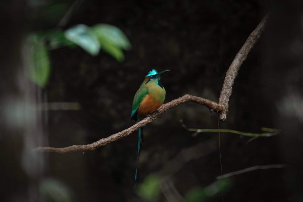 What Are the Challenges and Solutions for UK's Aging Water Infrastructure?